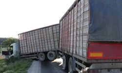 Mudurnu'da zincirleme trafik kazası