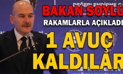 Bakan Soylu, PKK'lı sayısını açıkladı