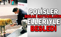 POLİSLER SOKAK HAYVANLARINI ELLERİYLE BESLEDİ