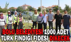 BOLU BELEDİYESİ 1000 ADET TÜRK FINDIĞI FİDESİ DİKECEK