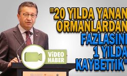 "20 YILDA YANAN ORMANLARDAN FAZLASINI 1 YILDA KAYBETTİK"