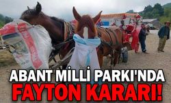 ABANT MİLLİ PARKI'NDA FAYTON KARARI!