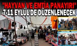 MUDURNU'DA "HAYVAN VE EMTİA PANAYIRI" 7-11 EYLÜL'DE DÜZENLENECEK