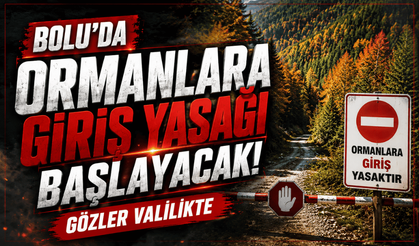 Bolu’da, ormanlara giriş yasağı için Temmuz ayı bekleniyor