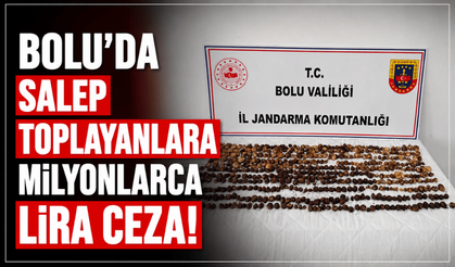 Bolu'da salep toplayanlara, milyonlarca lira ceza kesildi