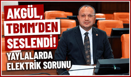 Milletvekili Akgül, yaylalardaki elektrik sorununu TBMM'ye taşıdı