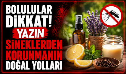 Bolulular Dikkat! Yazın Sineklerden Korunmanın Doğal Yolları