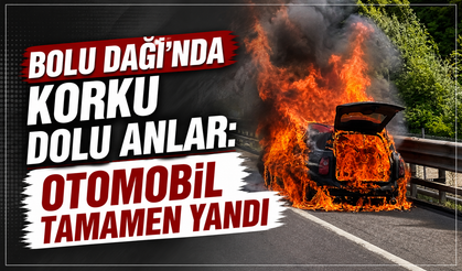 TEM'de alevlere teslim olan otomobil kullanılamaz hale geldi