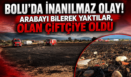 Bolu’da demirini satmak için arabayı yakanlar, 10 dönümü küle çevirdi
