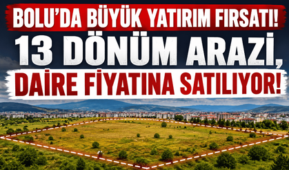 Bolu’da büyük yatırım fırsatı! 13 dönüm arazi, daire fiyatına!