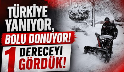Türkiye sıcaktan kavrulurken, Bolu 1 dereceyi gördü!