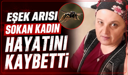 Eşek arısı sokan kadın hayatını kaybetti