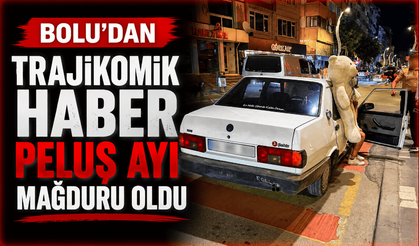 Peluş ayı ehliyetsiz sürücüyü ele verdi