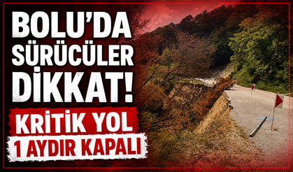 Bolu'da heyelan nedeniyle Taşkesti-Abant yolu 1 aydır kapalı