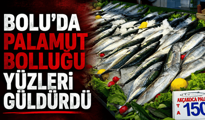 Balıkçıların yüzünü palamut bolluğu güldürdü