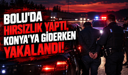 Bolu’da 300 bin lira değerinde hırsızlık yaptı, Konya yolunda yakalandı!