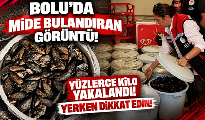 Bolu’da 650 kilogram bozuk midye yakalandı!
