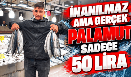 İnanılmaz ama gerçek palamut sadece 50 lira