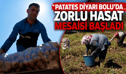 Tarlada kilogramı 24 ila 28 liradan alıcı bulan patates tüketiciye 40-45 liradan ulaşıyor