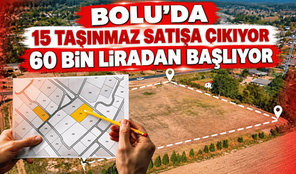15 taşınmaz açık artırma usulüyle satışa çıkıyor