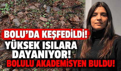 Bolu’da keşfedilen hammadde, farklı sektörlerde kullanılabilecek