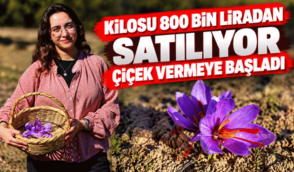 "Mucize bitki" çiçek açtı, kilosu dudak uçuklatıyor