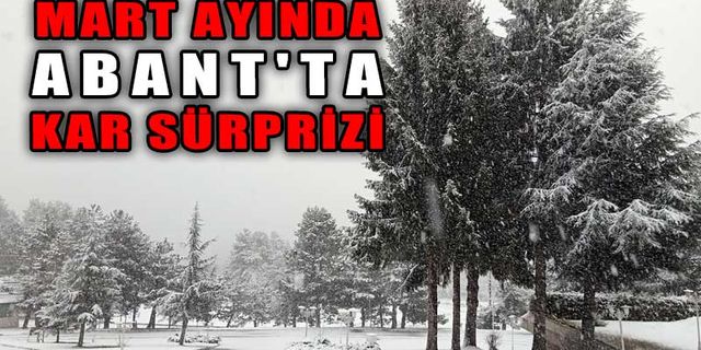 MART AYINDA ABANT'TA KAR SÜRPRİZİ