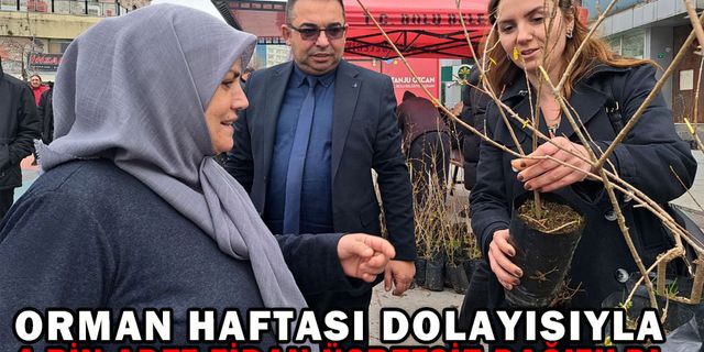 ORMAN HAFTASINDA 4 BİN ADET FİDAN ÜCRETSİZ DAĞITILDI