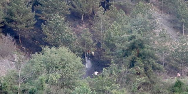 Karabük'te çıkan örtü yangını söndürüldü