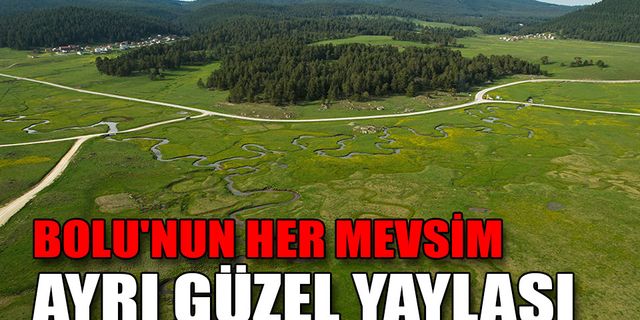 BOLU'NUN HER MEVSİM AYRI GÜZEL YAYLASI: SARIALAN