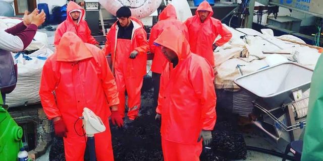 Kurdukları Çiftlikle Türkiye’ye Midye Sevk Ediyorlar