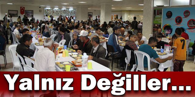 YALNIZ DEĞİLLER…