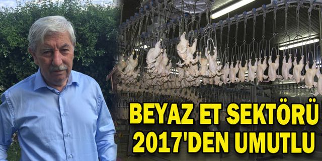 Beyaz et sektörü 2017'den umutlu