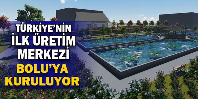 Türkiye’nin ilk üretim merkezi Bolu’da kuruluyor