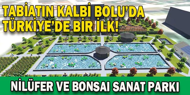  Türkiye’nin İlk Bonsai Serası ve En Büyük Nilüfer Havuzu Bolu’da Kuruluyor
