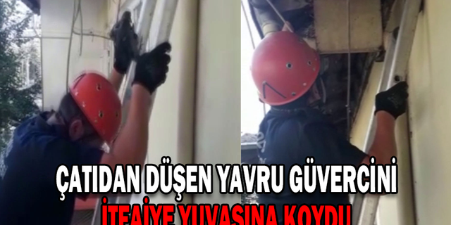 ÇATIDAN DÜŞEN YAVRU GÜVERCİNİ İTFAİYE YUVASINA KOYDU
