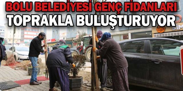 BOLU BELEDİYESİ GENÇ FİDANLARI TOPRAKLA BULUŞTURUYOR