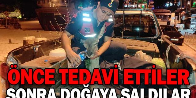 YARALI BULUNAN GEYİK TEDAVİ EDİLDİ