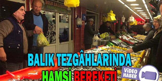 BALIK TEZGÂHLARINDA HAMSİ BEREKETİ