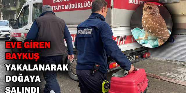 EVE GİREN BAYKUŞ YAKALANARAK DOĞAYA SALINDI
