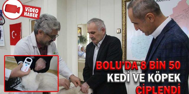 BOLU’DA 8 BİN 50 KEDİ VE KÖPEK ÇİPLENDİ