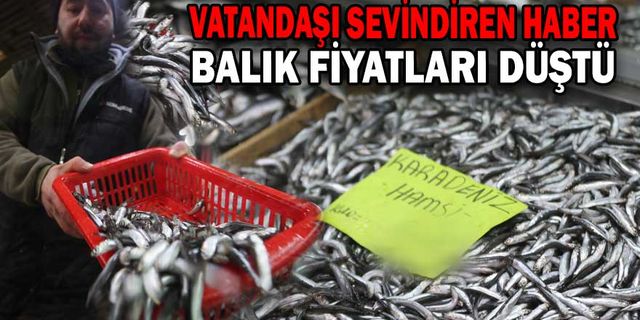HAVALARIN SOĞUMASI BALIK AVCILIĞINDA HAREKETLİLİĞİ ARTIRDI