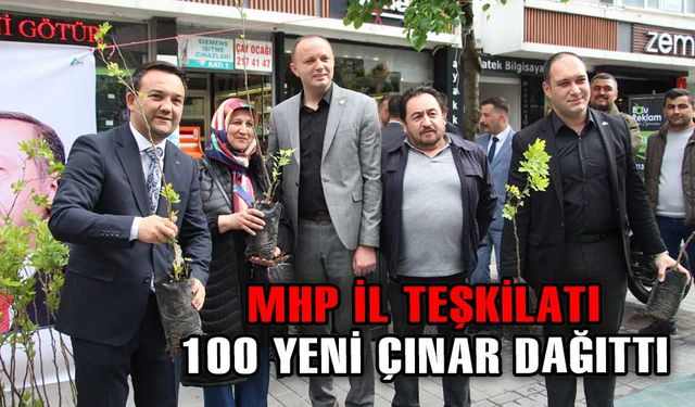 MHP İL TEŞKİLATI, 100 YENİ ÇINAR DAĞITTI