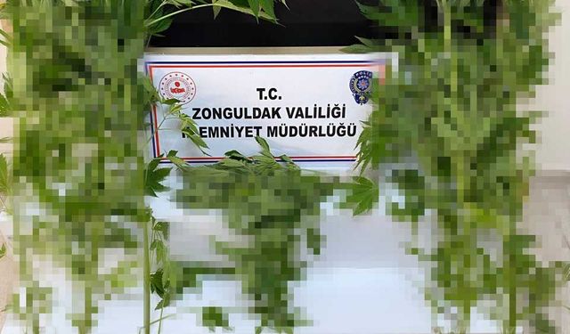 Zonguldak'ta Uyuşturucu Operasyonu