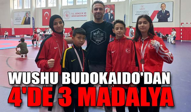 WUSHU BUDOKAIDO'DAN 4'DE 3 MADALYA
