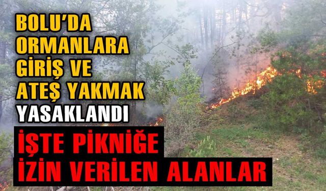 ORMANLARA GİRİŞ İLE PİKNİK VE ATEŞ YAKILMASI YASAKLANDI