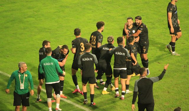 TFF 3. Lig: Karabük İdman Yurdu: 0 - Aliağa Futbol: 4