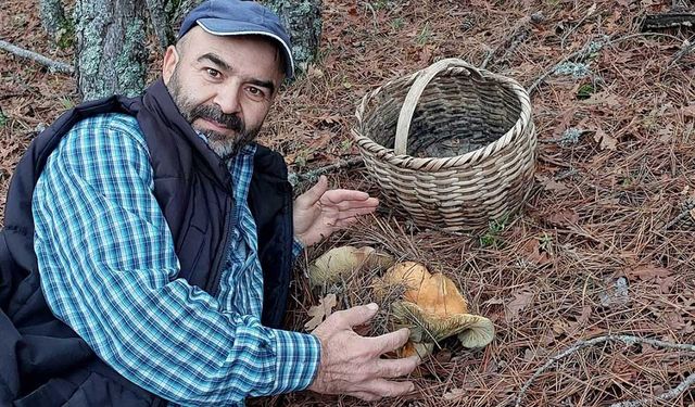 Görünce hayrete düştü, kayda alarak anlatmaya başladı