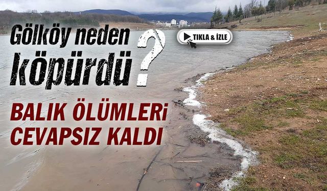 Bolu'nun içme ve kullanma suyu barajı Gölköy'de köpüklenme görüldü