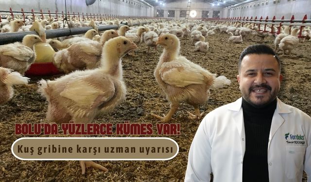 Bolu’da yüzlerce kümes var! kuş gribine karşı uzman uyarısı